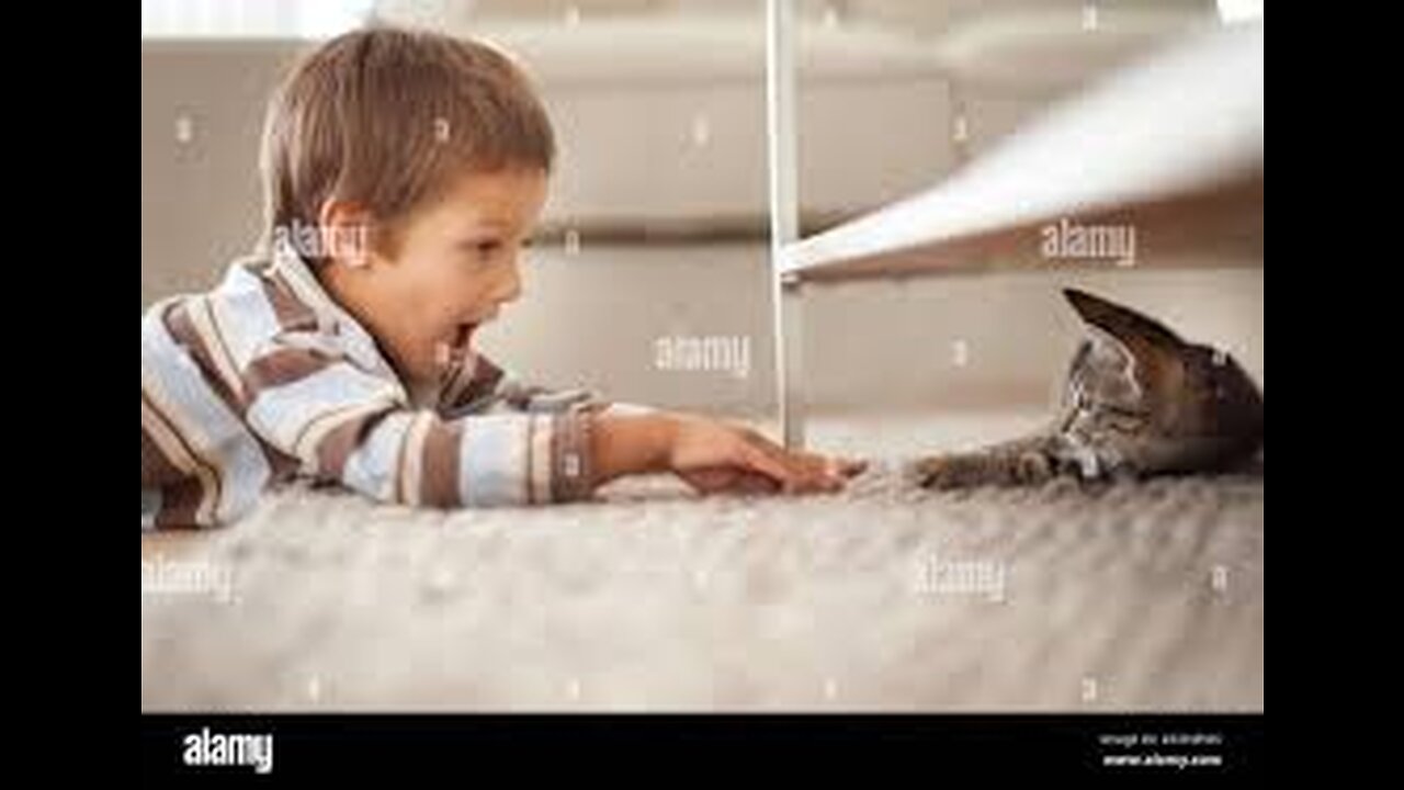 "Cats & Kids: A Heartwarming Friendship"