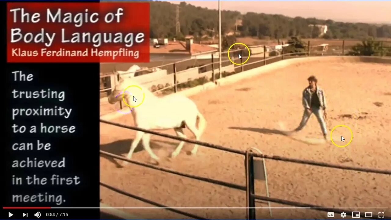 Evaluating & Discussing Klaus Hempfling Working With A Stallion - Explaining Horse Language - Part 1