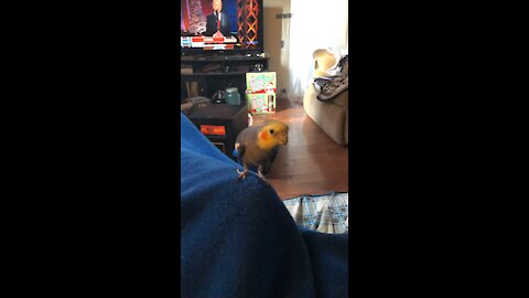 Cocktail named shakes