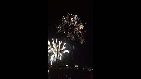 New year firework