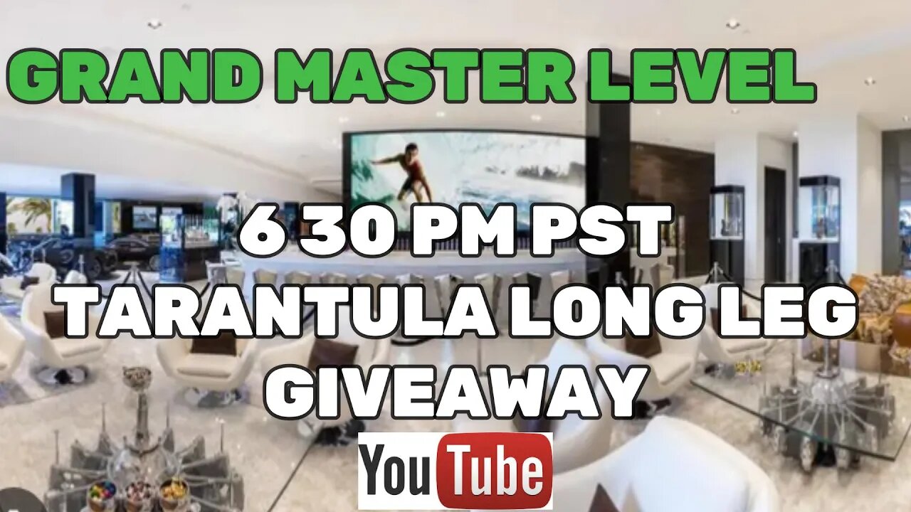 GRAND MASTER LEVEL TARANTULA LONG LEG GIVEAWAY