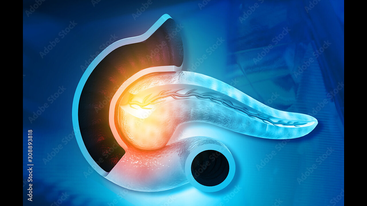 Role and Anatomy of Pancreas