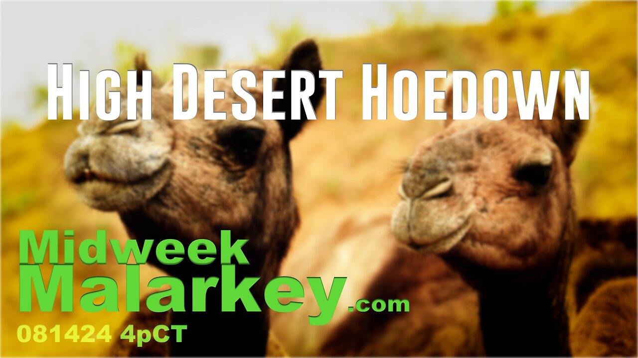 High Desert Hoedown - Midweek Malarkey 081424