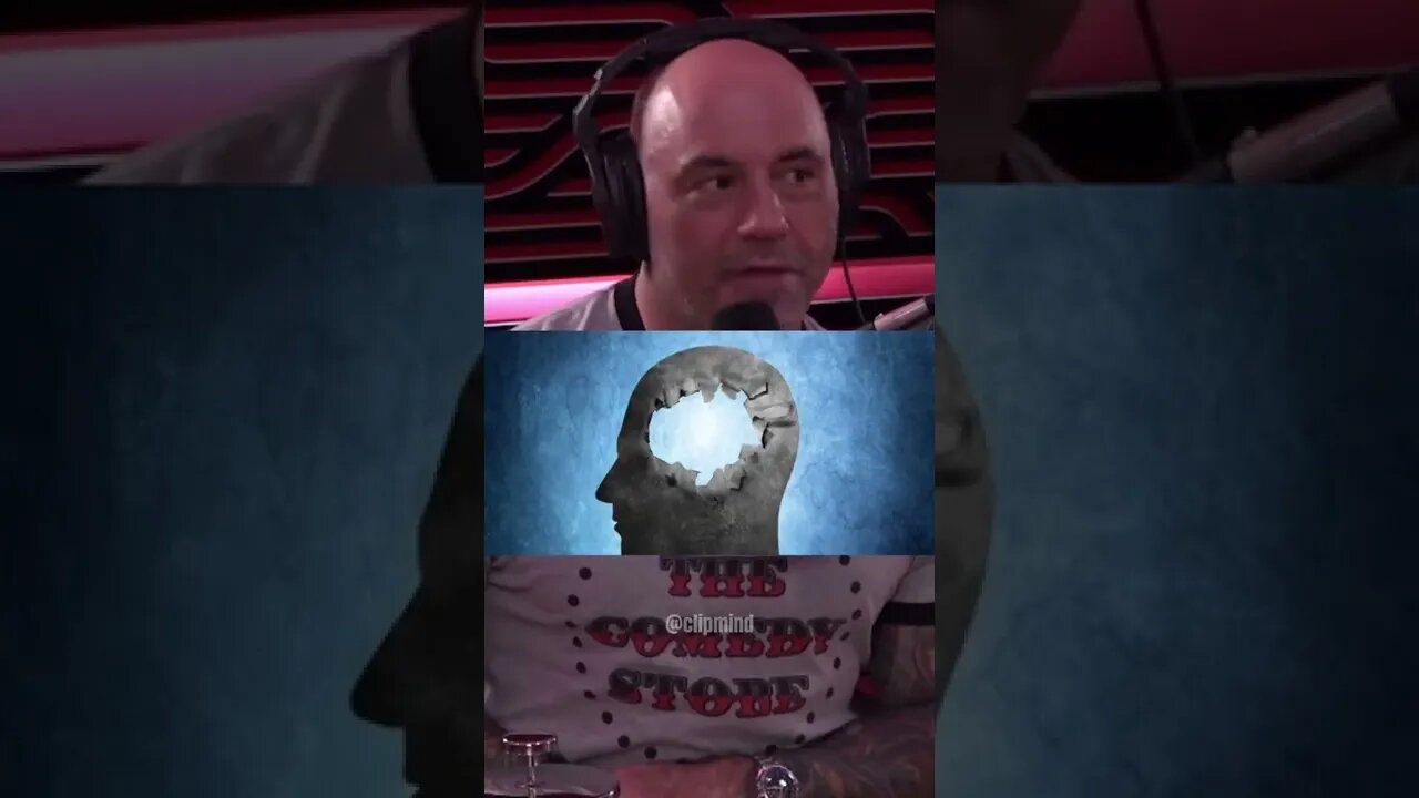 Joe Rogan Speaks about Toad Venom Experience #shorts