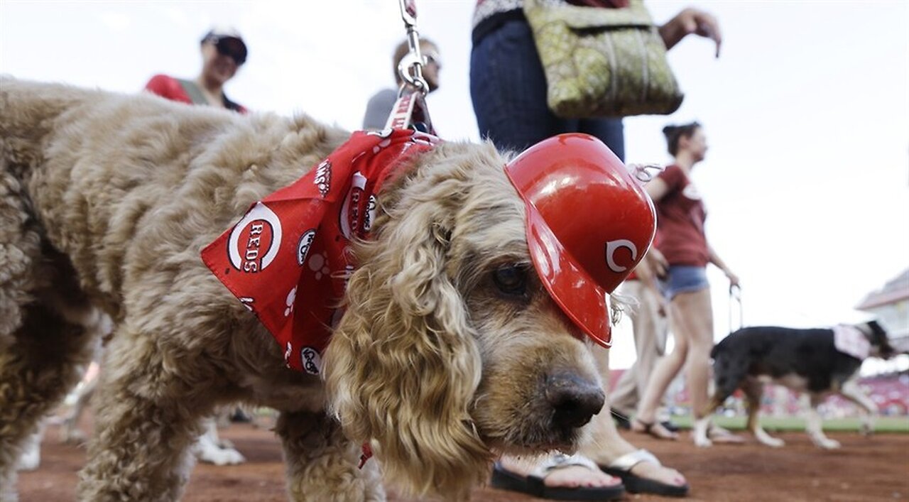 Phenom: Reds' Elly De La Cruz Hits for the Cycle in Just 15th Career Start