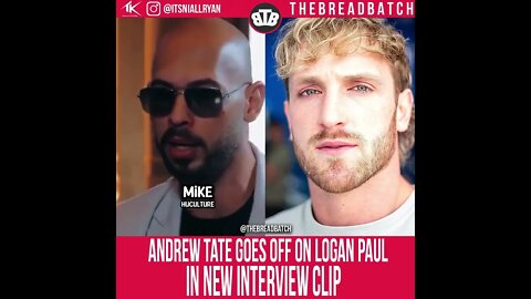 Andrew Tate goes off on Logan Paul: "He sat on camera cried his eyes out like a little girl "