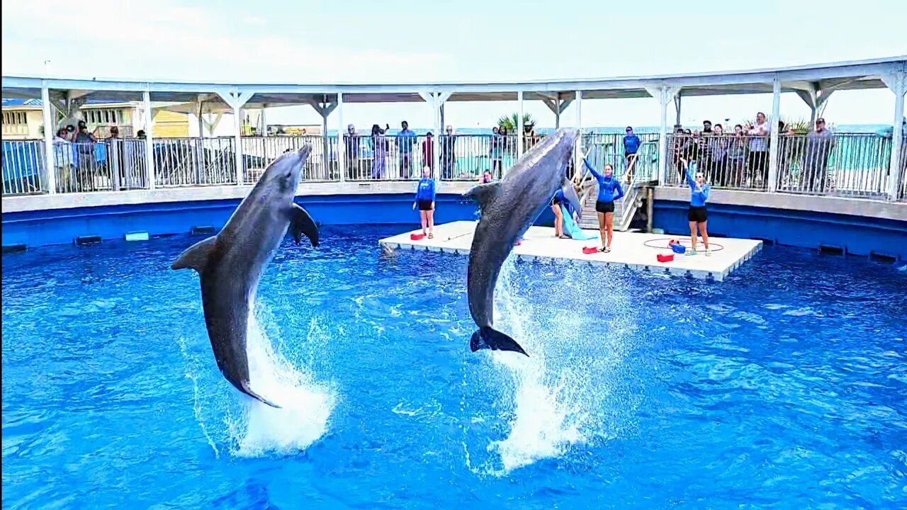 We Visited The GULFARIUM Marine Adventure Park in Fort Worth