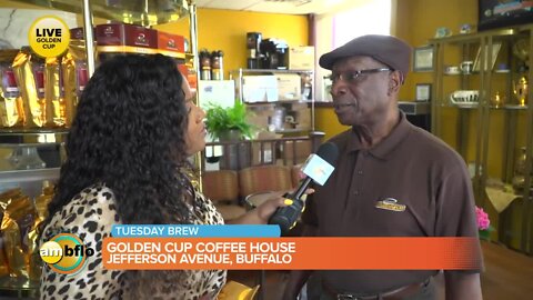 Tuesday Brew - Golden Cup