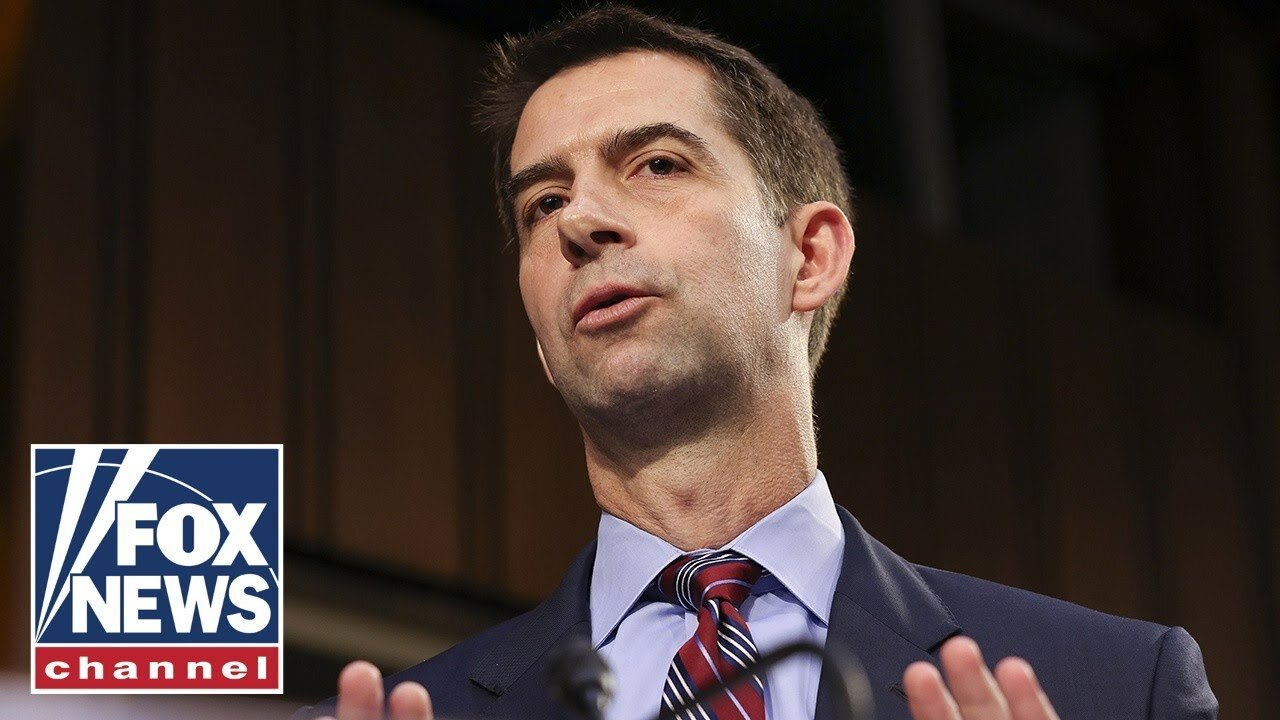 DNC chair rips Sen. Cotton: 'Maggot-infested man'