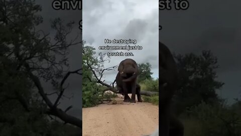 New Farlight 84 Syfer شخصية اصبحت خارقة