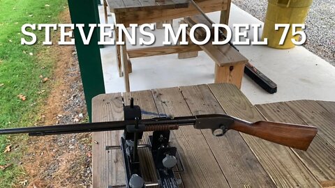 Stevens model 75 pump action 22 rifle like savage model 29