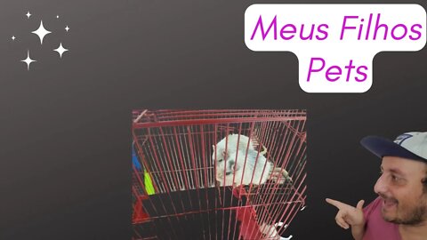 Meus Novo Filhos Pets #pets