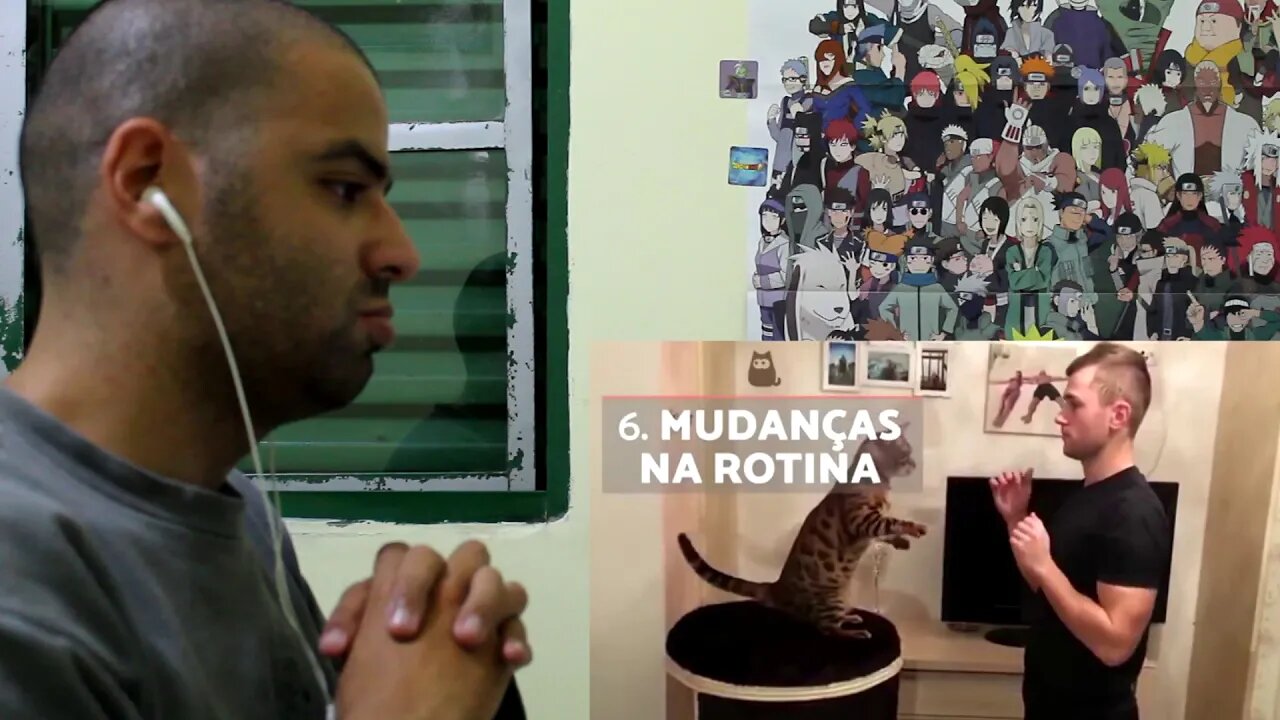 React 10 COISAS QUE OS GATOS ODEIAM e você deve EVITAR 😾