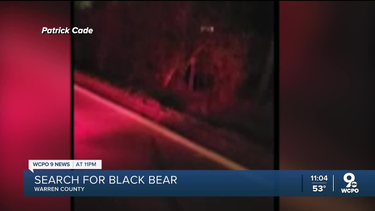Wildlife officials investigating possible bear spotting in Warren County