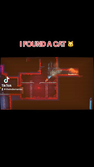 I WANT TO PET THE CAT