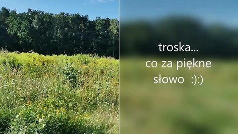 troska , co za piękne słowo :):) Anna Budzik