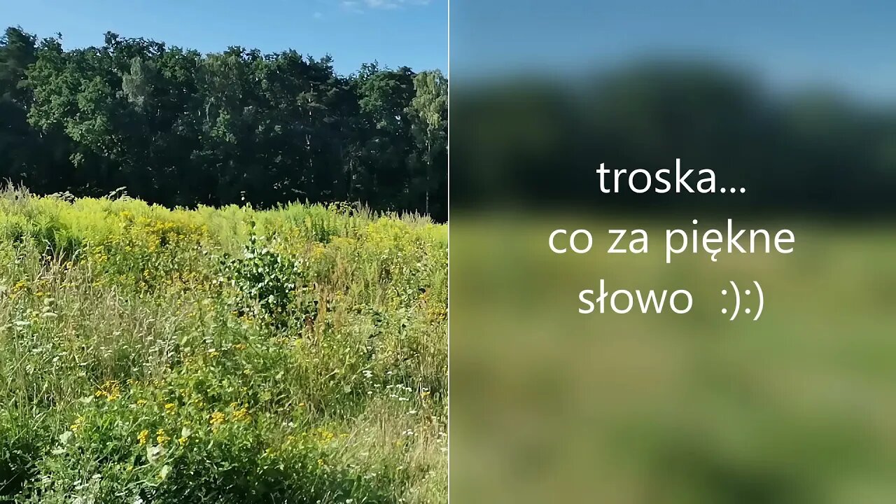 troska , co za piękne słowo :):) Anna Budzik