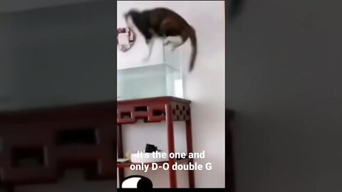 It's the one and only D-O double G #shorts