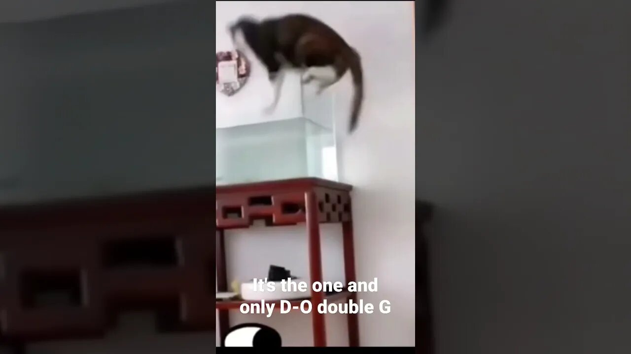 It's the one and only D-O double G #shorts