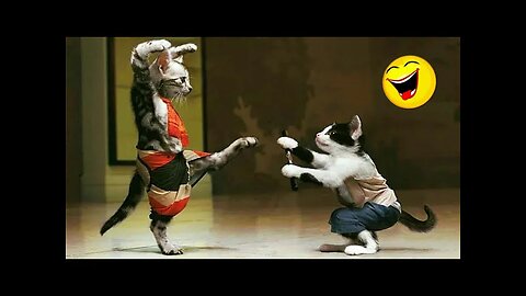 Best Funny Animals Videos 2024 😆 | Funny and Cute Cats 🐈 and Dogs 🐕 Videos 3