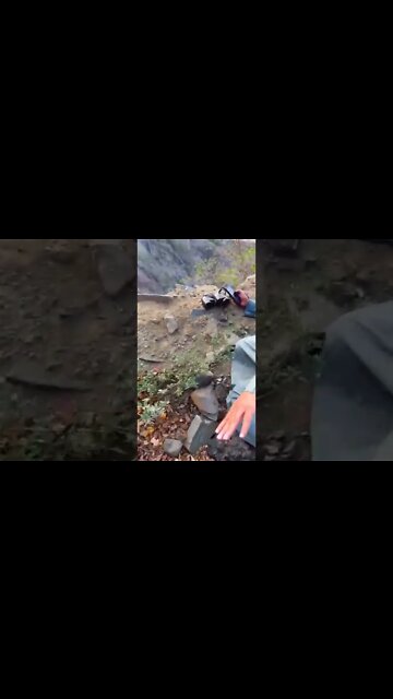 #shorts #2022 funny,prank,funjokes,dad jokes,funny memes,funny video,fun,laughing,funny animal,knock