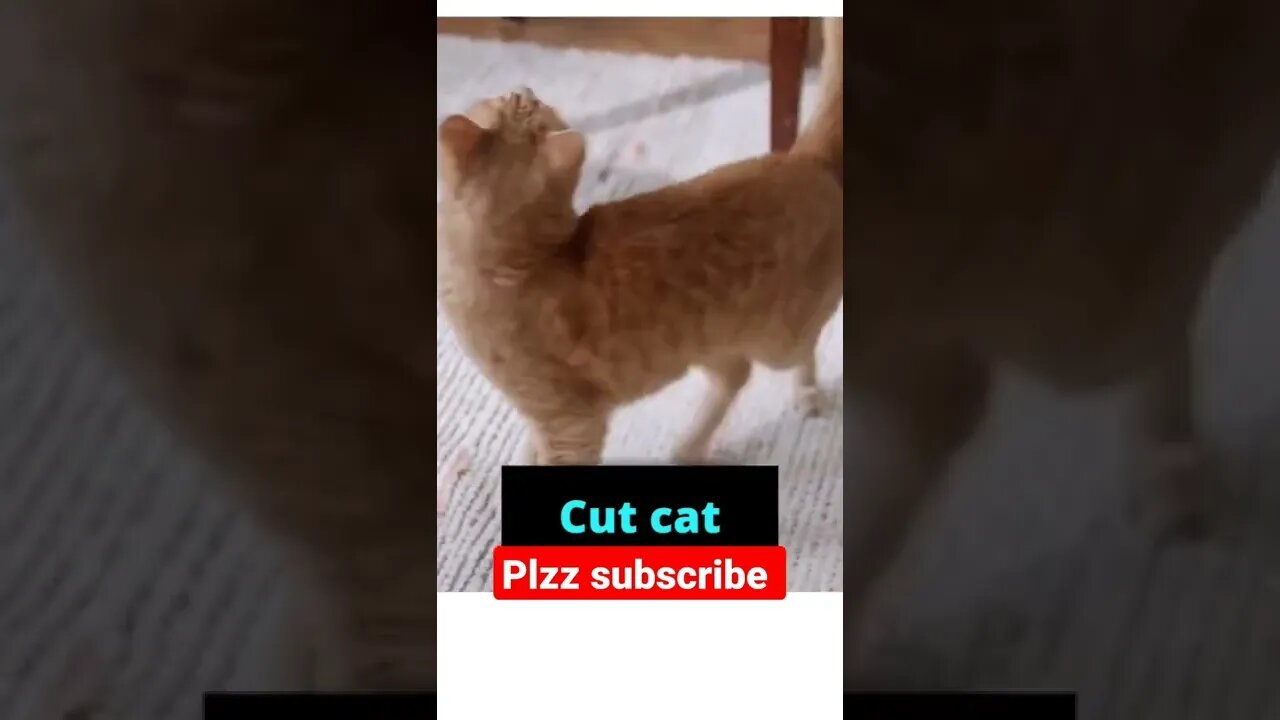 #short #shortvideo #best #fast #success ##subscribe