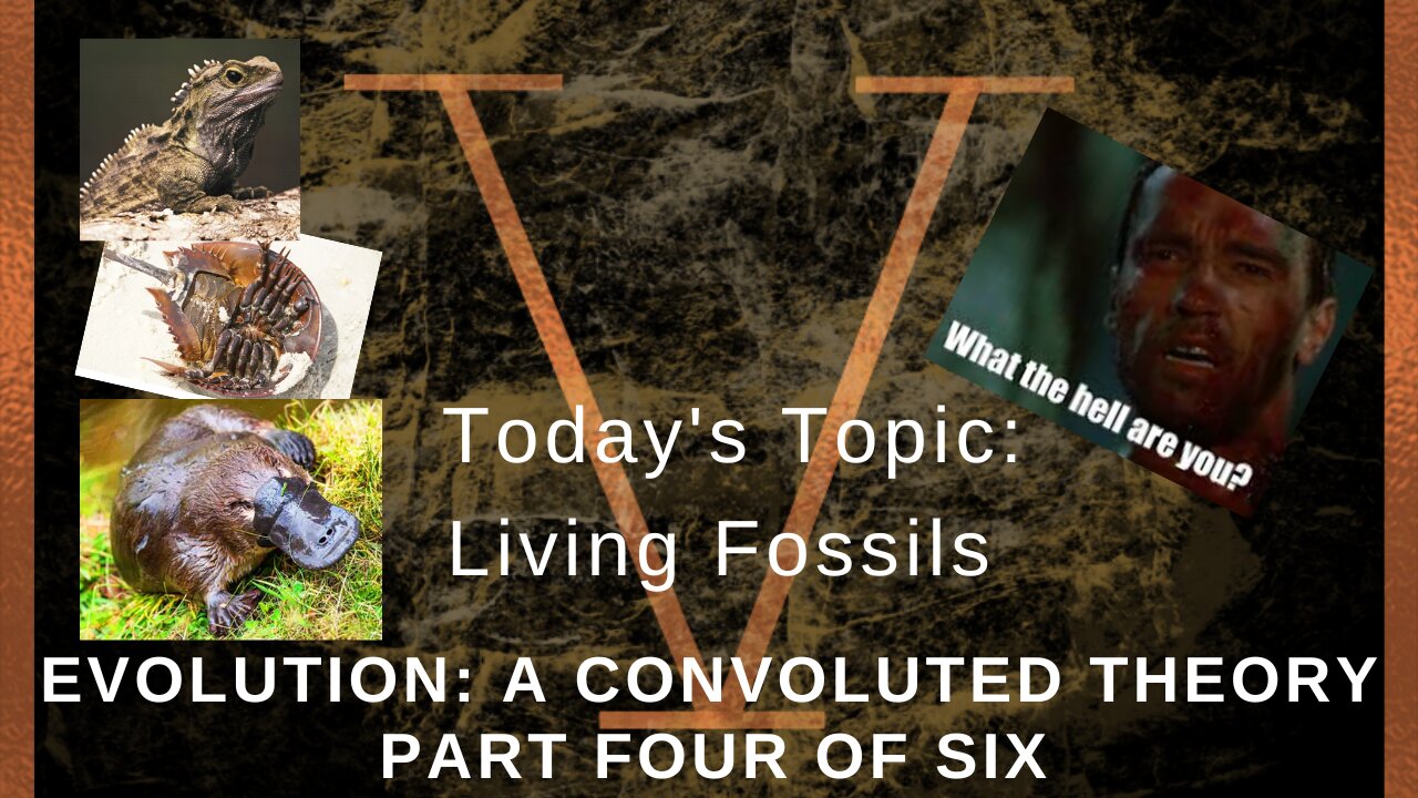 Evolution: A Convoluted Theory Part 4 - Living Fossils