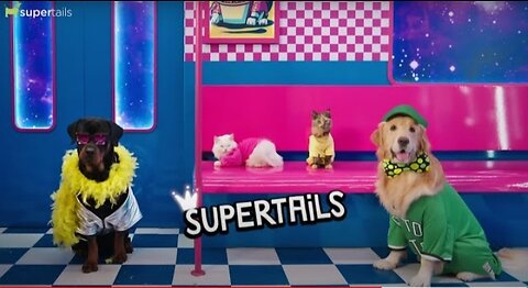 Supertails Swag Sale'23 | India's Biggest Sale For Pets | #TheSwagLife
