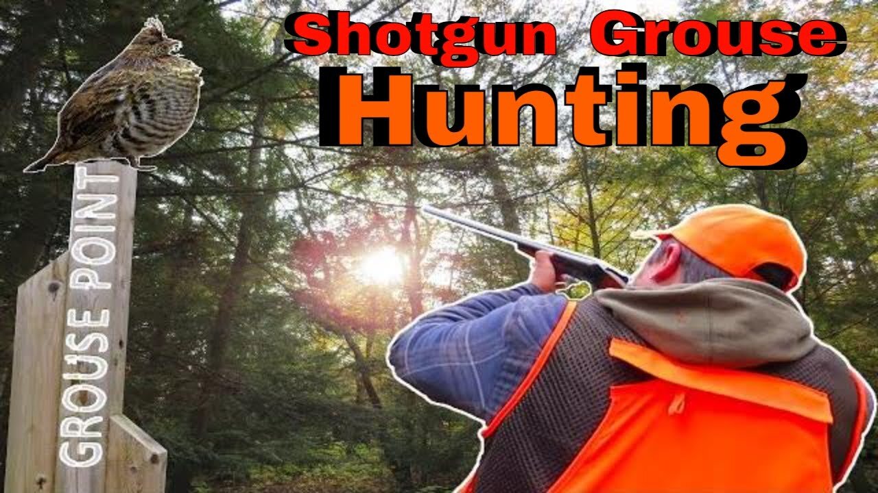 October Grouse Hunting - Timmins Ontario