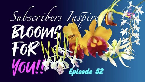 SUBSCRIBERS INSPIRE| You color my life | Blooms for YOU! Episode 52 🌸🌺🌼💐#Orchids #OrchidsinBloom