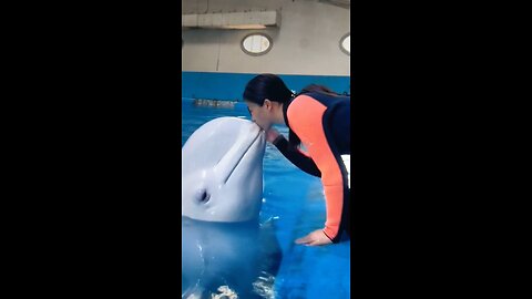 SEAWORLD WITH AN ACCESSIBLE LOVE AND PASSION.