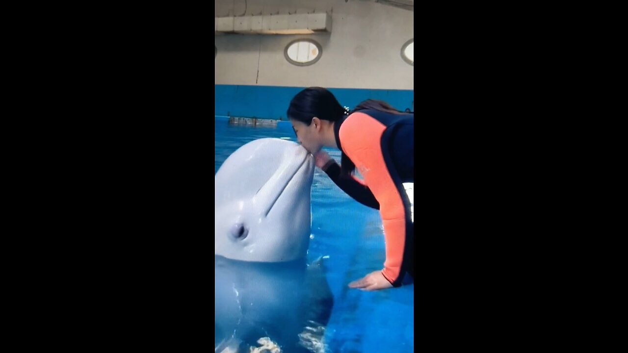 SEAWORLD WITH AN ACCESSIBLE LOVE AND PASSION.