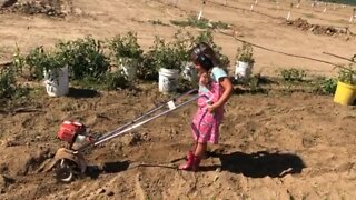 Preschool Gardening