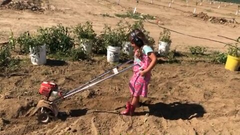 Preschool Gardening