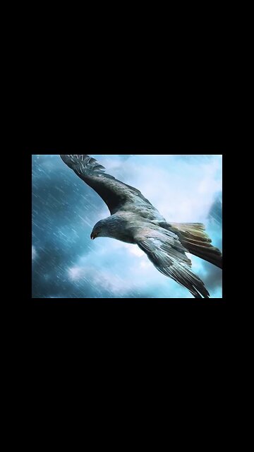 Porté Par Les Vents (Teaser)