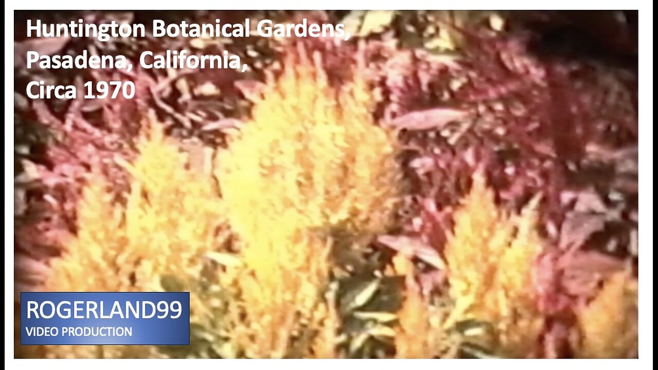 Huntington Botanical Gardens Circa 1970