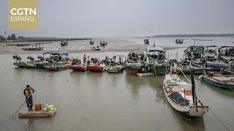 El mar Meridional de China reanuda la pesca después de tres meses de moratoria