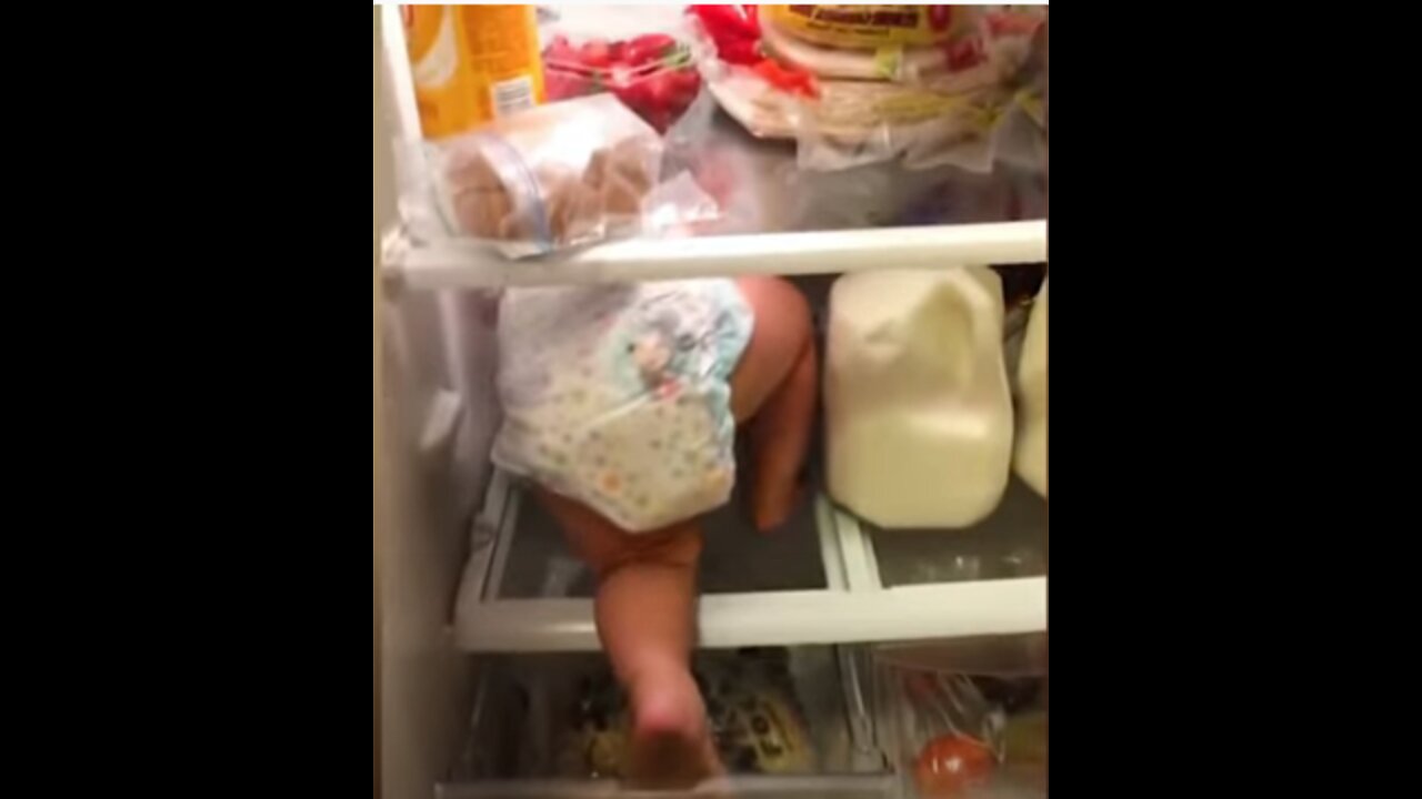 Smart Babies Stealing Things Funniest Home Videos