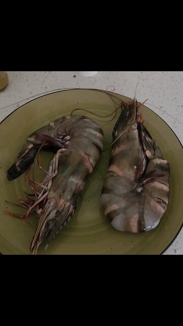 Global Warming Invasive Species