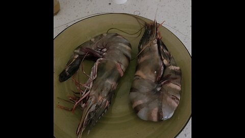 Global Warming Invasive Species