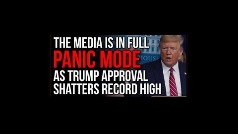 MSM : WHEN TRUMP WINS 2024