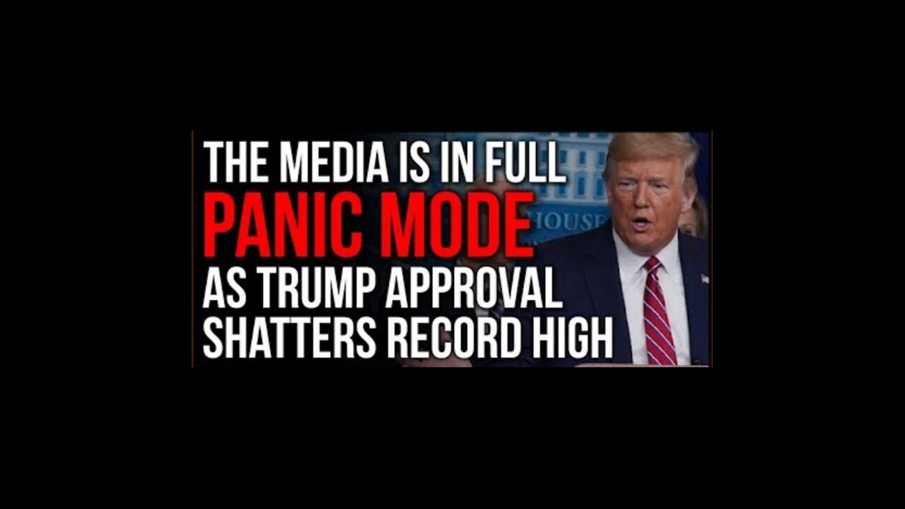 MSM : WHEN TRUMP WINS 2024