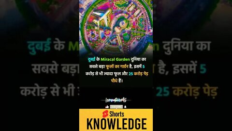 Motivational Quotes Intresting Facts lifestyle & research #shorts #ytshorts #knowledge #motivation