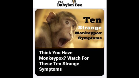 Monkey cockx