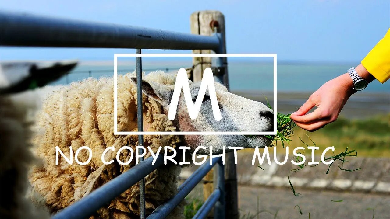 Ehrling - Tequila（Mm No Copyright Music）