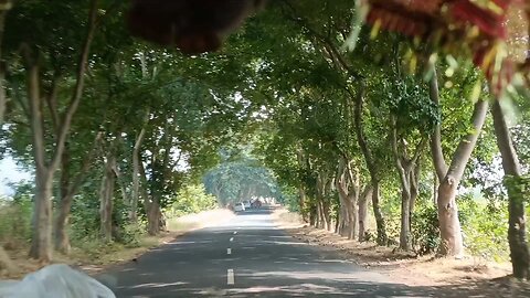 Natural beauty in Amarkantak madhya pradesh