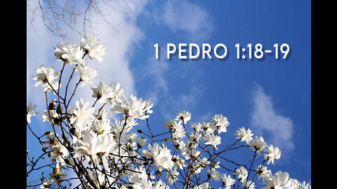 1 Pedro 1:18-19