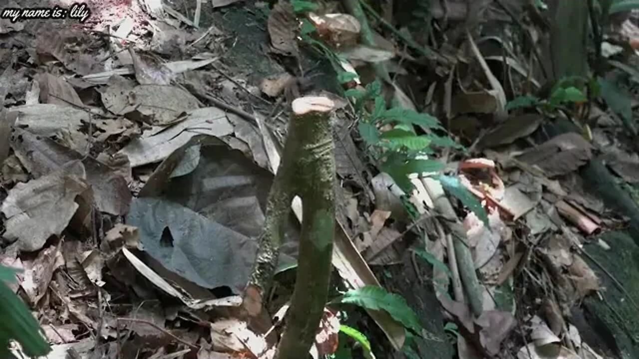 12. Girl camping outdoor ability is strong!