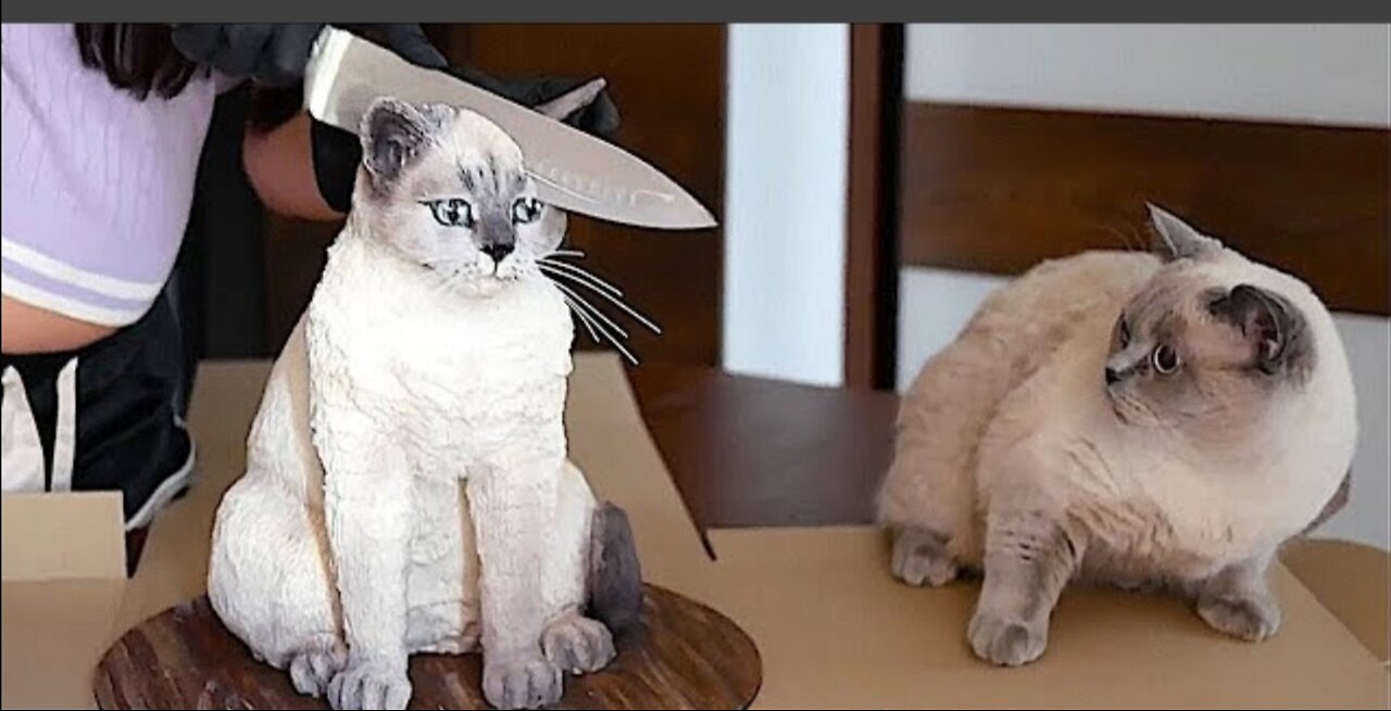 Never seen before animal pranks 😂