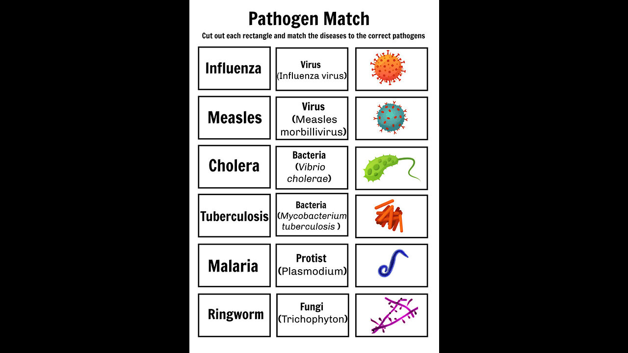 Dr. Sam Bailey-Why Pathogens Don't Exist